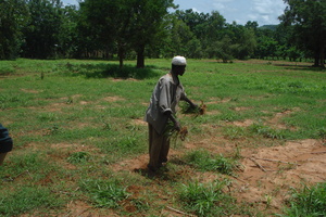 Farmer Youssouf in Action