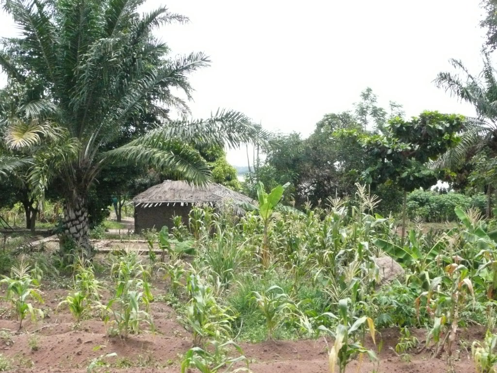 6,000 BREAKFASTS A WEEK FOR CHILDREN IN TANZANIA