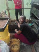 Kenya- Flevia checking BSF Frass for sale