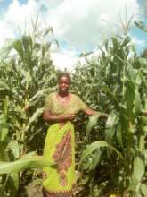 Farmer Malita is proud of maize crop using biochar