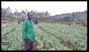 Kenya - Farmer Peter in his fields with customers