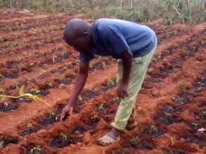 Sustainable Farming: Relieve Hunger in East Africa