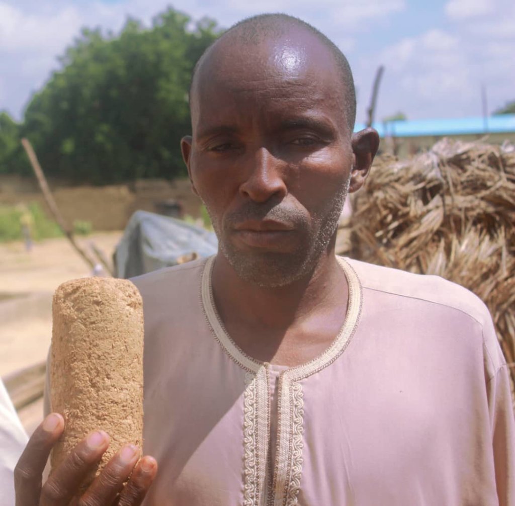 Livelihood supports for poor IDPs in Borno State.