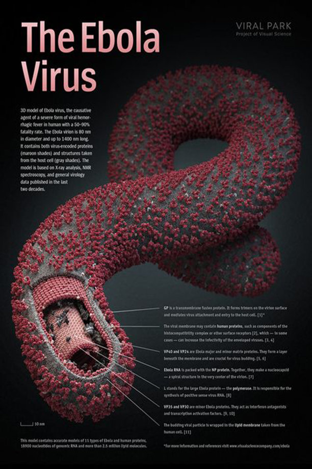 Preventing the spread of Ebola in Rwanda