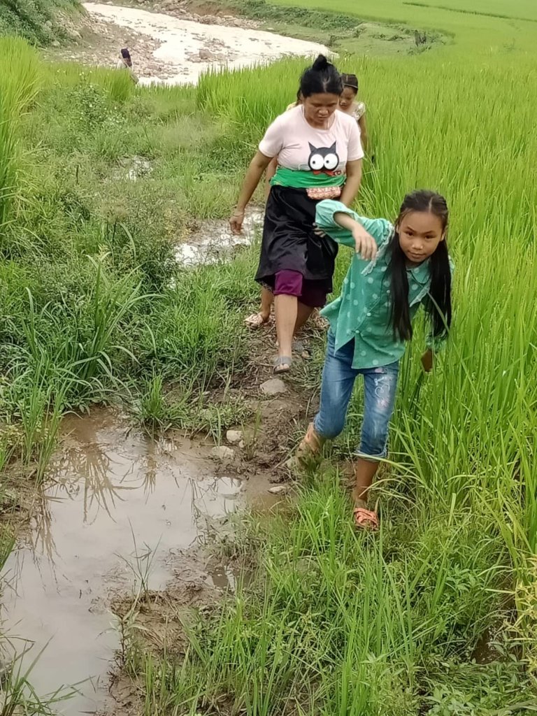 Make a concrete infield road for 700 ethnic people