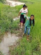 Local people go to work