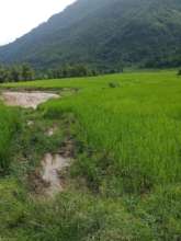 Make a concrete infield road for 700 ethnic people