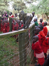 St. Vincent's children at Nairobi Animal Orphanage