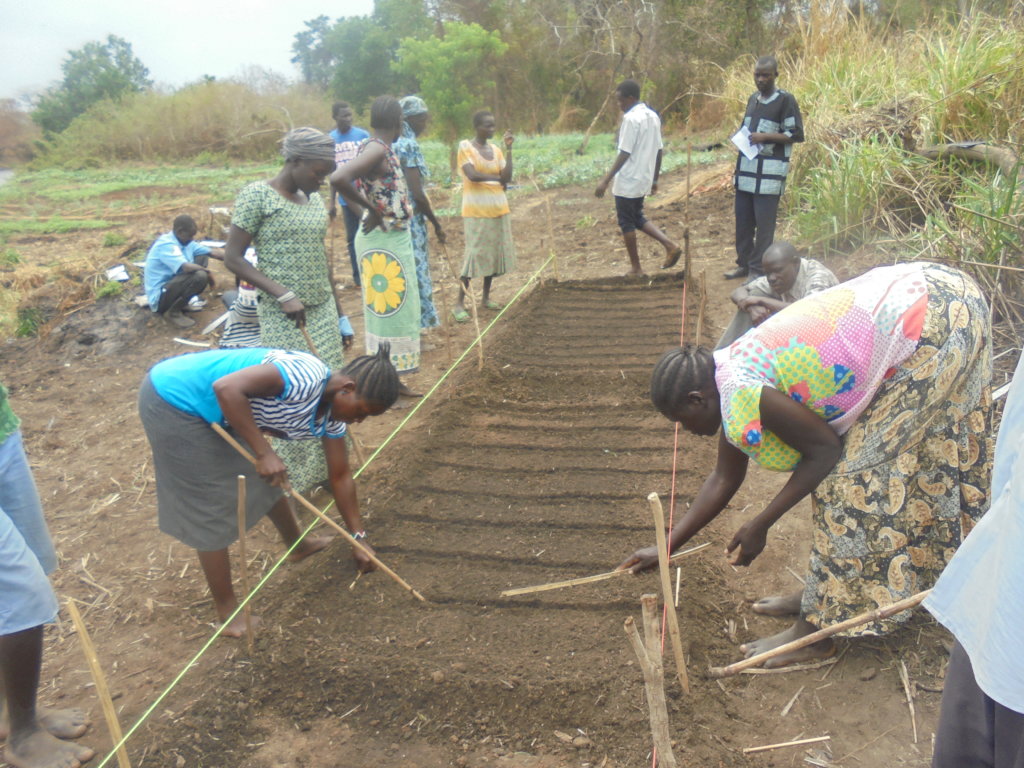 Restoring Livelihood of 2000 households in Kasese.
