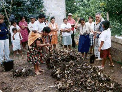 Train 50 Zapotec families in vanilla cultivation