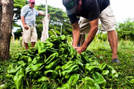 Help 100 communities adapt to climate change