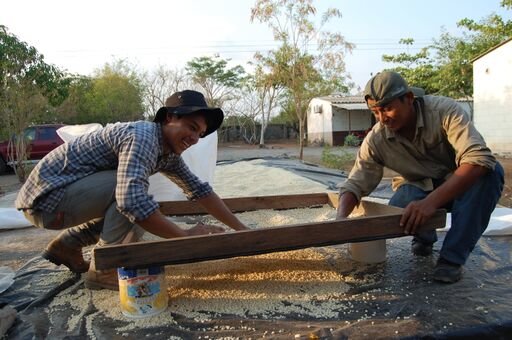 Help 100 communities adapt to climate change