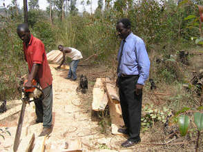 Inspection of sawing of timber for the project