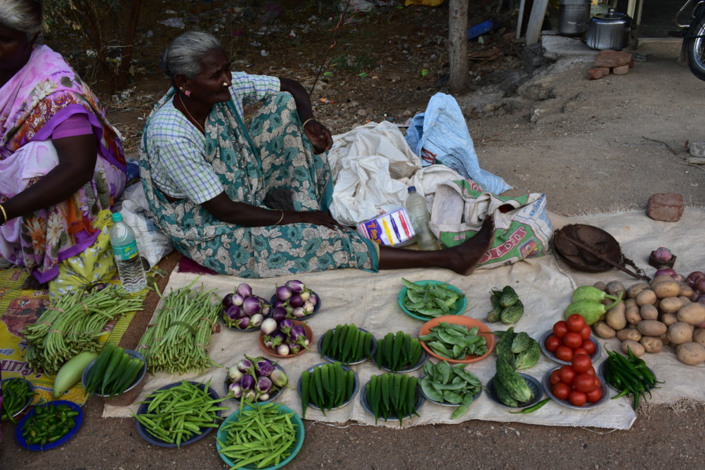 Buy a women's co-op a solar food cart
