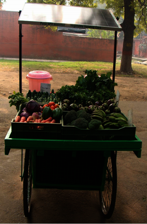 Buy a women's co-op a solar food cart