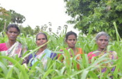 Buy a women's co-op a solar food cart