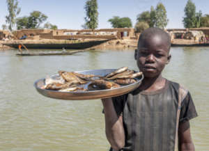 Orphan child saling fish