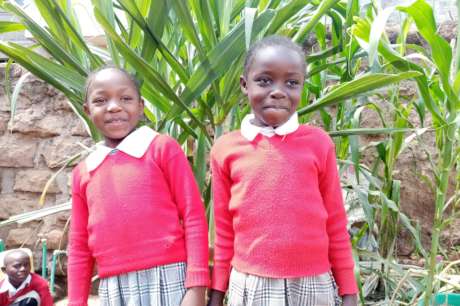 Educate 200 Needy Children in Njiru, Nairobi-Kenya