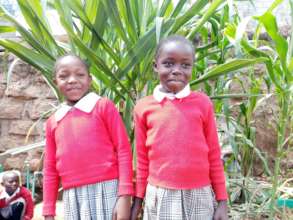 Educate 200 Needy Children in Njiru, Nairobi-Kenya