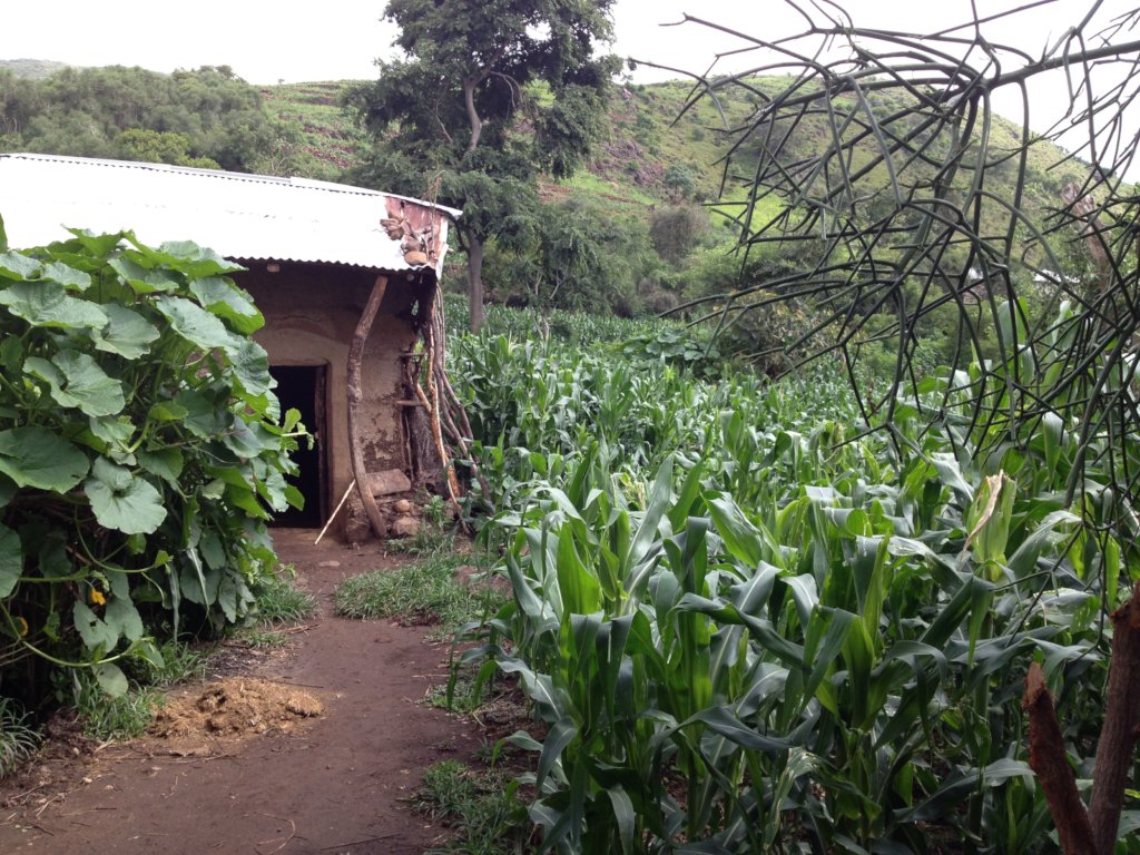 Help Ethiopian Indigenous Medicine Research Centre