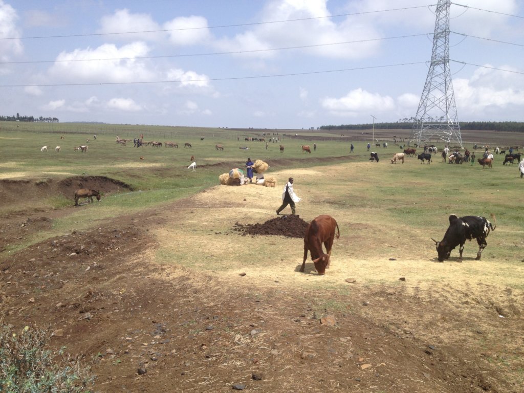 Help Ethiopian Indigenous Medicine Research Centre