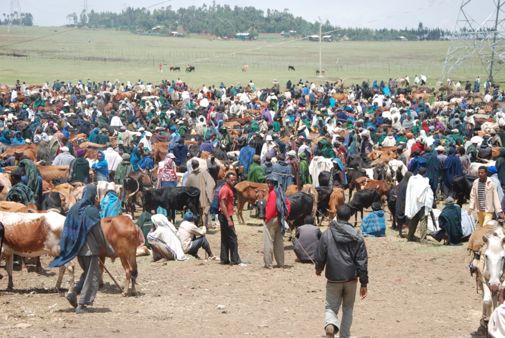 Help Ethiopian Indigenous Medicine Research Centre