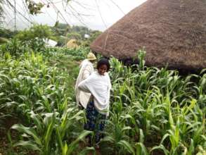 Herbal Medicinal plants in deep remote village