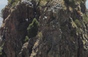 Help Ethiopian Indigenous Medicine Research Centre