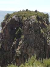 Help Ethiopian Indigenous Medicine Research Centre
