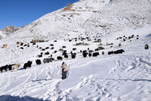 Saldang village during winter