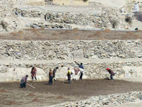 Locals do farming to survive in winter time.