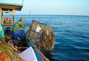 Sustainable Fishing