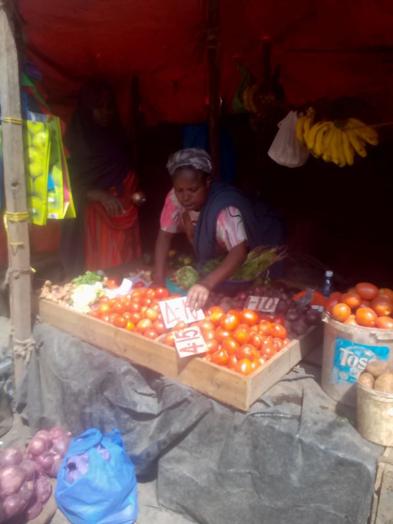 Economic empowerment to 100 refugee women