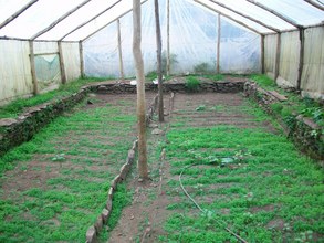 Interior of Model Greenhouse in Amparaes, Peru