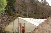 Improving Nutrition for Children in Peru