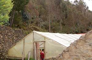 Improving Nutrition for Children in Peru