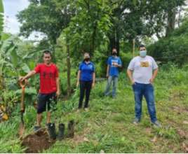 Gardening around the center