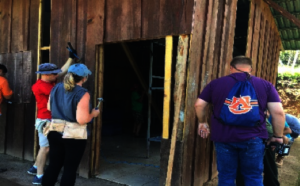 Building work skills