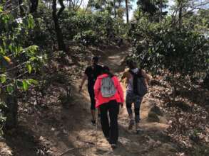 Hiking in the Coffee Plantation