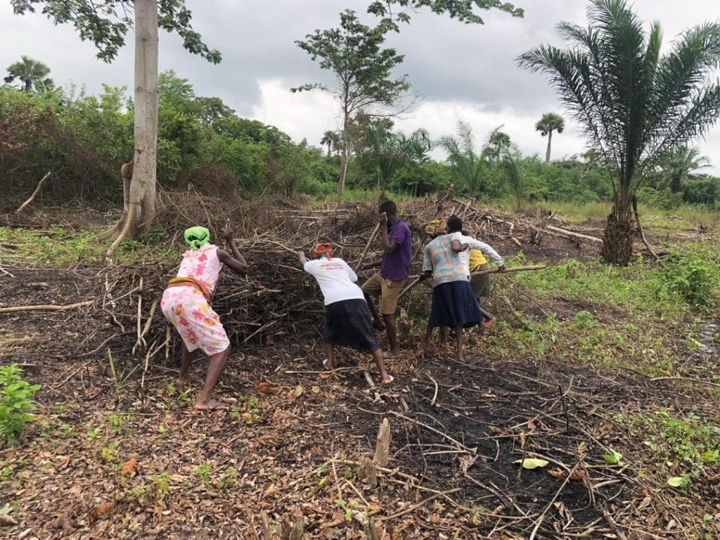 Build Irrigation Well for 200 Farmers in Ghana