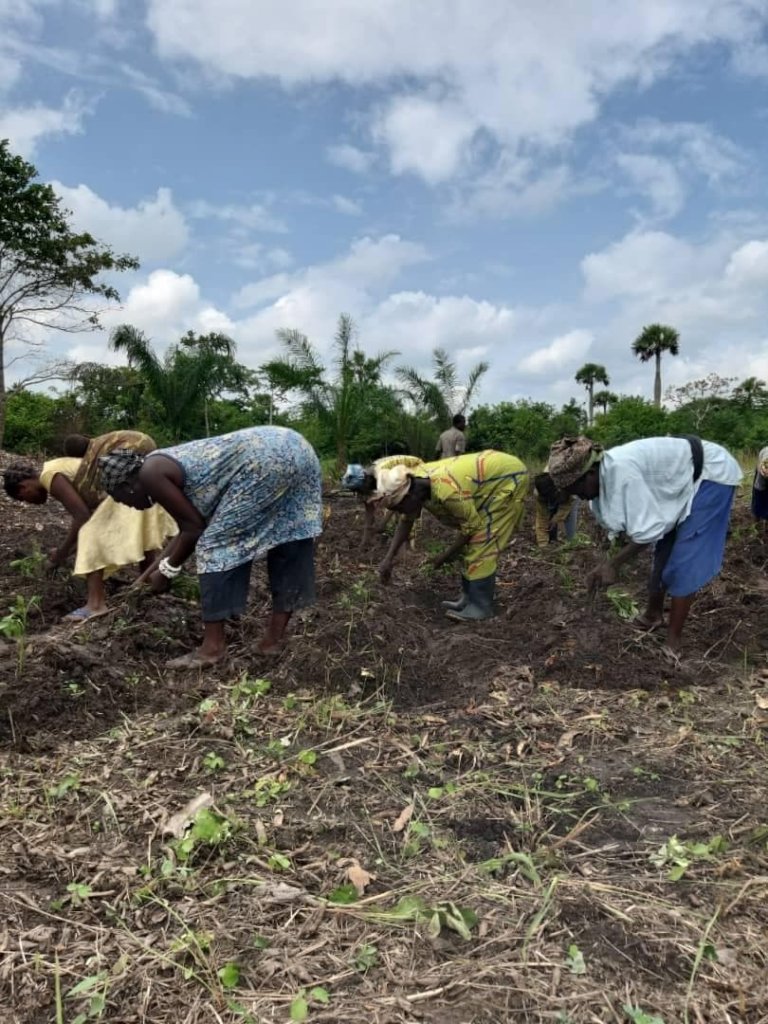 Build Irrigation Well for 200 Farmers in Ghana