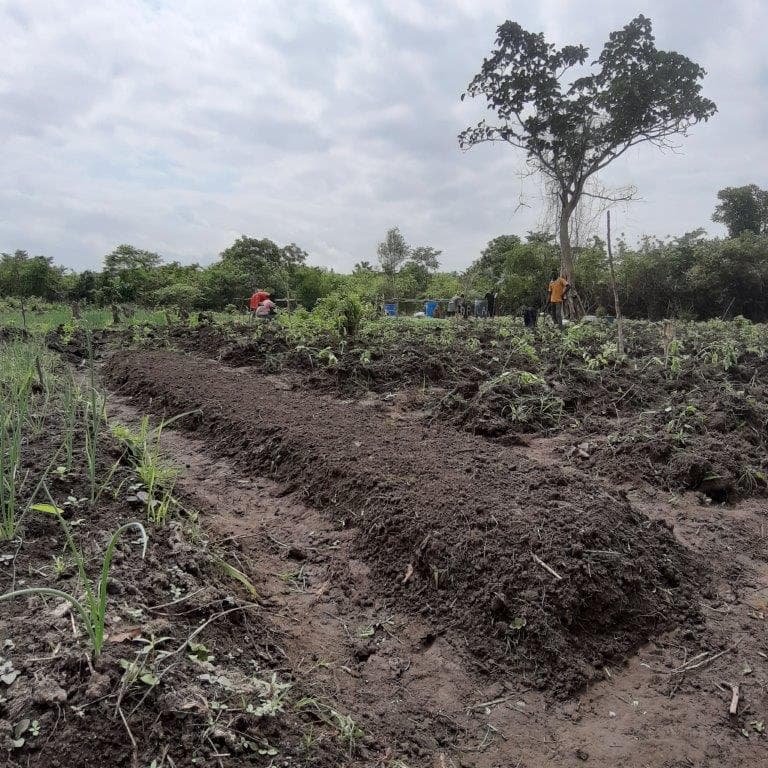 Build Irrigation Well for 200 Farmers in Ghana