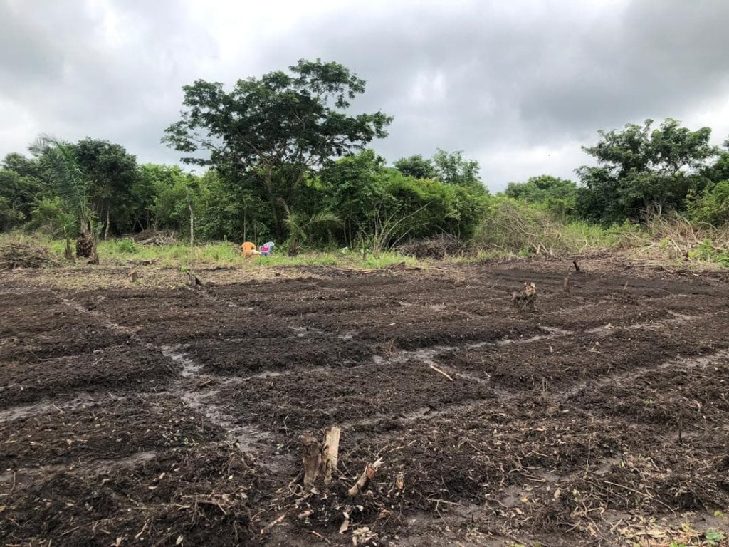Build Irrigation Well for 200 Farmers in Ghana