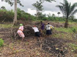 Clearing the Farm