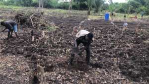 Clearing the Farm