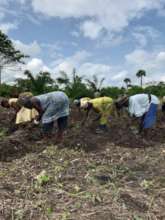 Working the Farm