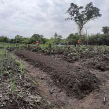 Land Prepared for Beet Root Farming