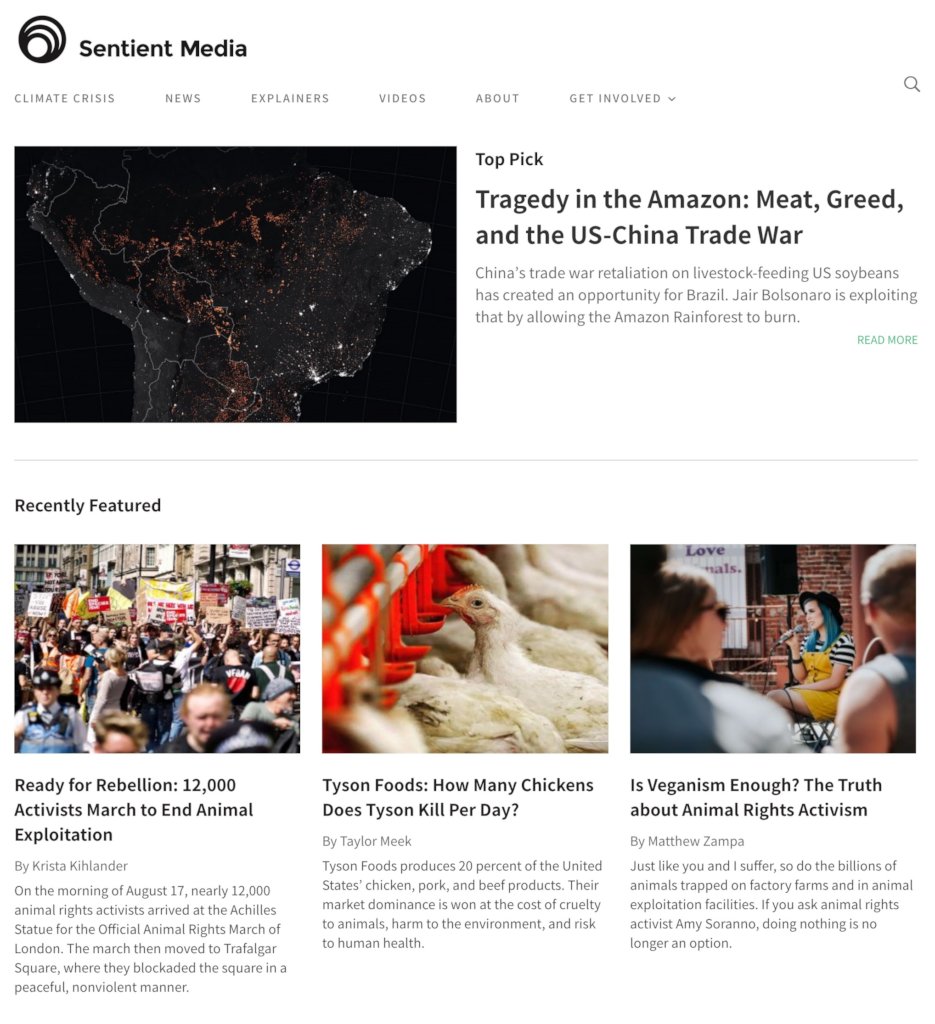 Animal Farming & the Jungle: Reporting from Brazil