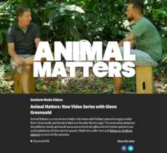Animal Matters with Glenn Greenwald video series