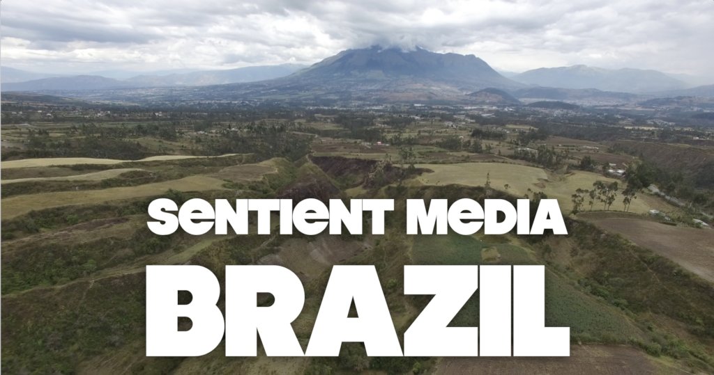 Animal Farming & the Jungle: Reporting from Brazil